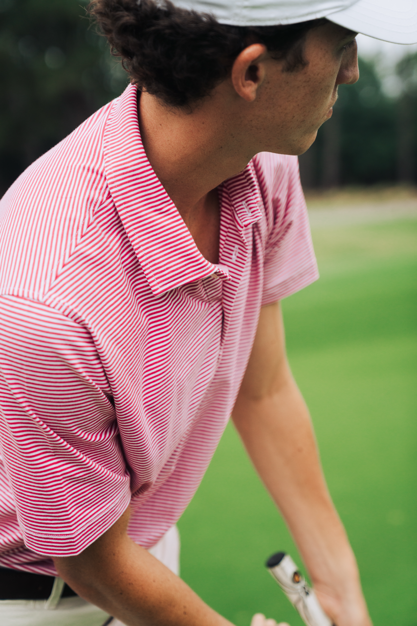 Pink & White Stripe Pima Cotton Golf Polo